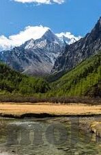 成人糖心vlog下载-成人世界的秘密花园，探秘糖心Vlog的精彩下载之旅