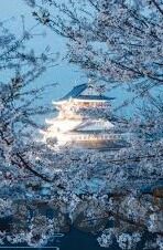国产日韩av一区二区三区-国产日韩AV一区二区三区，文化与市场的多元交融