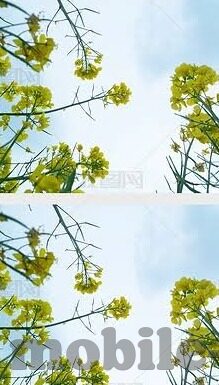 伦理动漫网-伦理动漫网，构建虚拟与现实间的道德桥梁