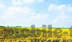 上海麻豆外文化传媒有限公司-探寻上海麻豆外文化传媒有限公司的独特魅力与影响力