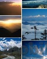 糖心app软件下载安卓-积极向上地看待技术使用，揭秘糖心app软件下载及安卓平台的优势与应用