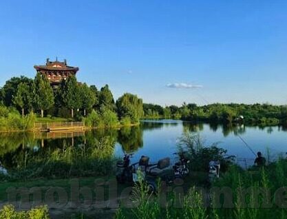 糖心vlog人口-走近糖心Vlog，近距离洞察人口故事的多彩篇章