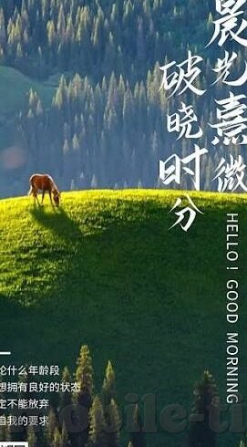 糖心直播app大全-糖心直播，构建你的娱乐新世界